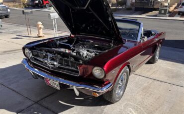 Ford-Mustang-1965-Candy-Brandy-Wine-Black-11