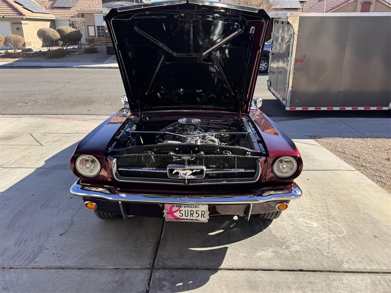 Ford-Mustang-1965-Candy-Brandy-Wine-Black-12