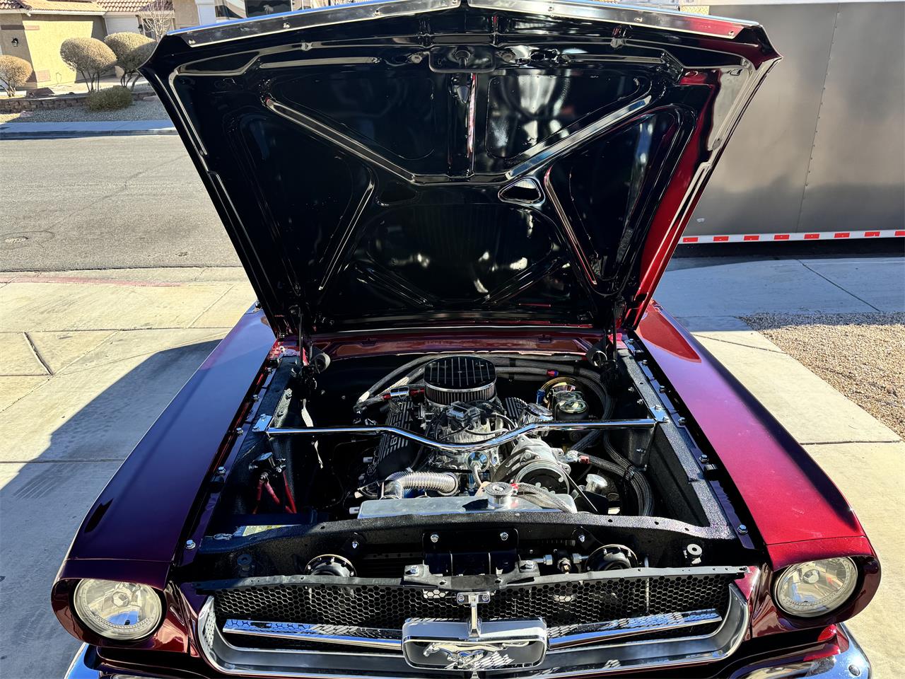 Ford-Mustang-1965-Candy-Brandy-Wine-Black-13