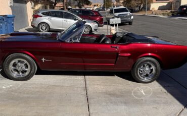 Ford-Mustang-1965-Candy-Brandy-Wine-Black-14