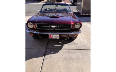 Ford-Mustang-1965-Candy-Brandy-Wine-Black-2
