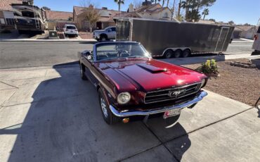 Ford-Mustang-1965-Candy-Brandy-Wine-Black-3