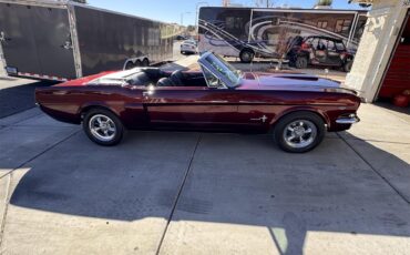 Ford-Mustang-1965-Candy-Brandy-Wine-Black-5