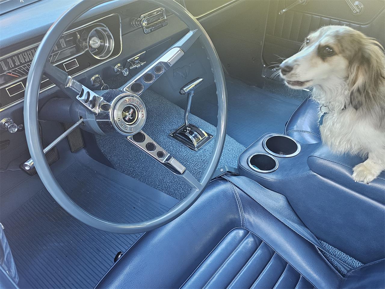 Ford-Mustang-1965-Caspian-blue-Blue-5