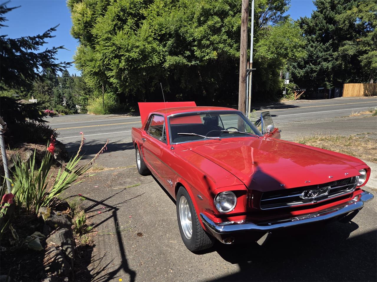 Ford-Mustang-1965-Cherry-Apple-Red-Black-2