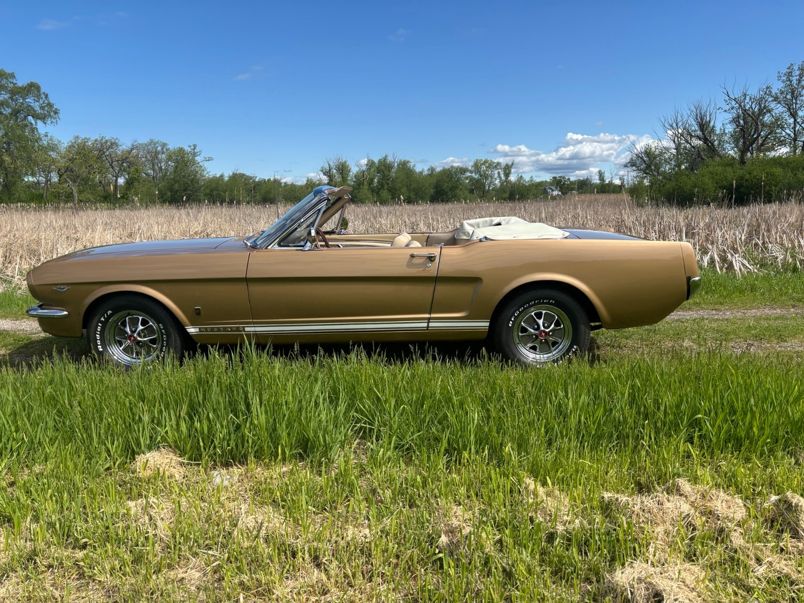 Ford-Mustang-1965-Convertible-1