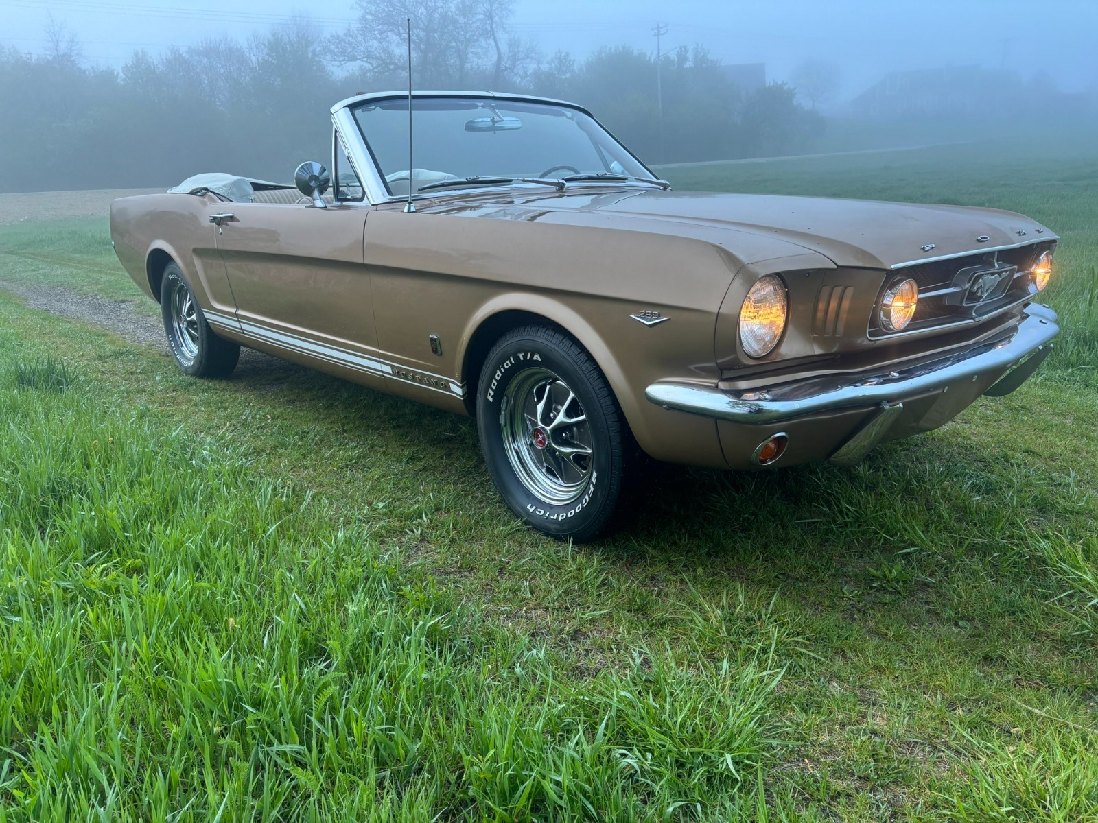 Ford-Mustang-1965-Convertible-15