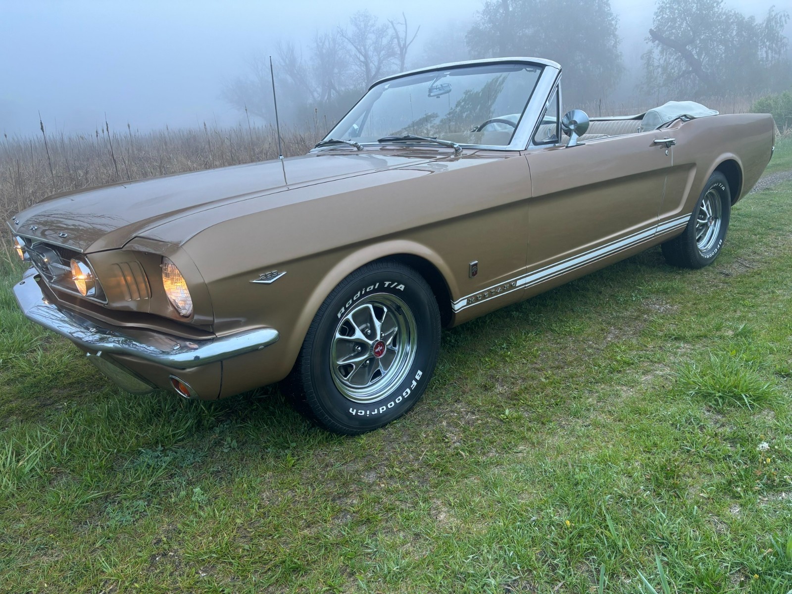 Ford-Mustang-1965-Convertible-16
