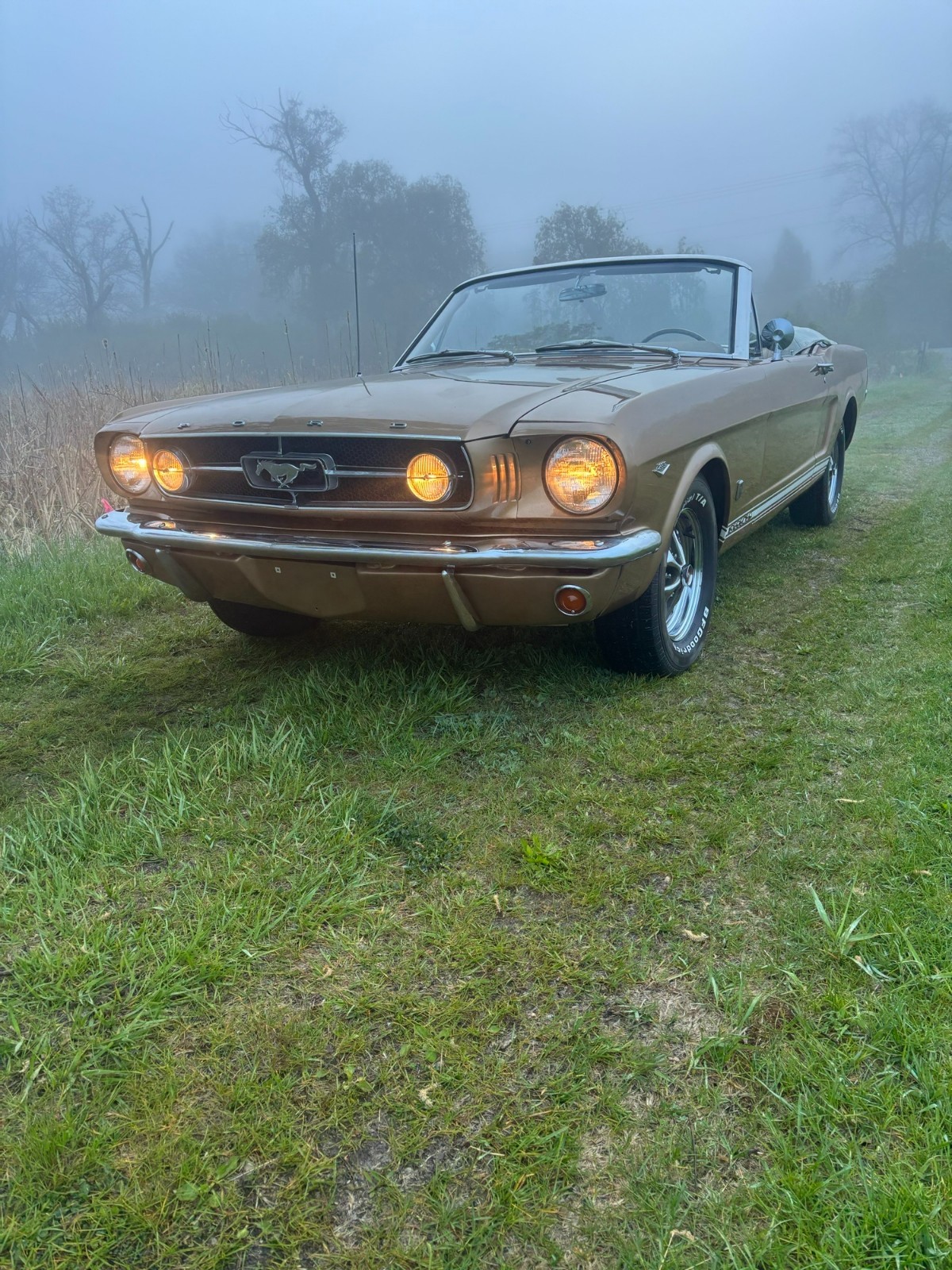 Ford-Mustang-1965-Convertible-17
