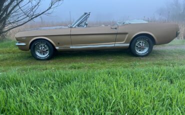 Ford-Mustang-1965-Convertible-18