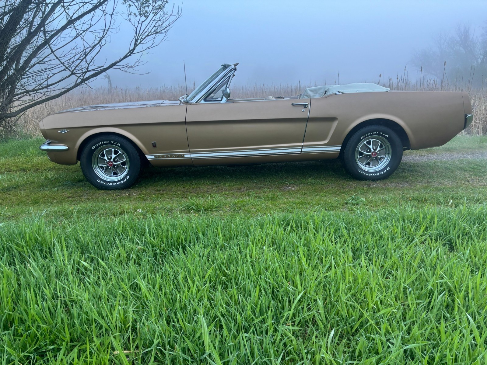 Ford-Mustang-1965-Convertible-18