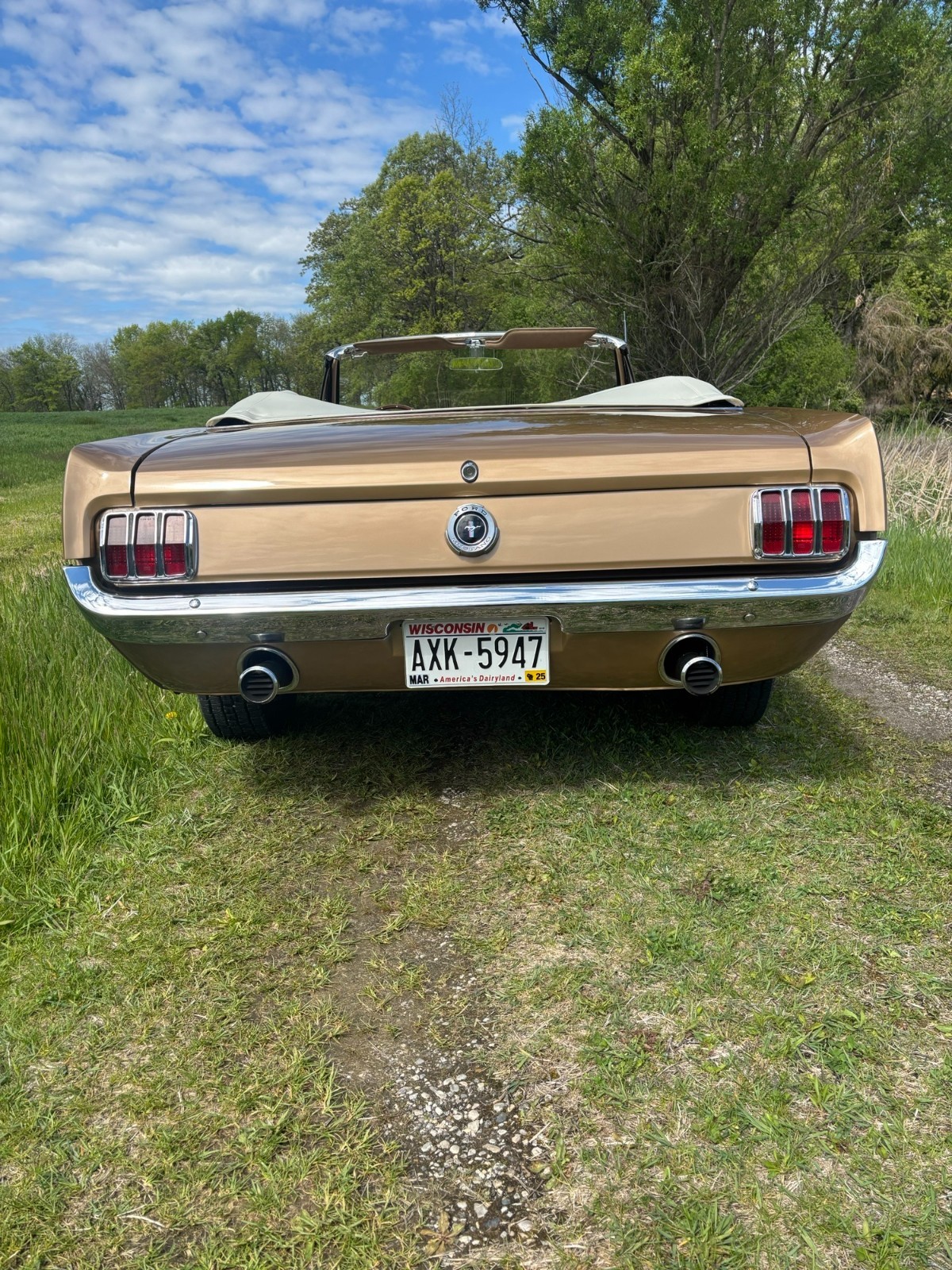 Ford-Mustang-1965-Convertible-2