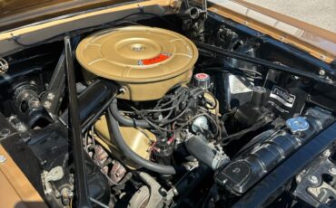 Ford-Mustang-1965-Convertible-20