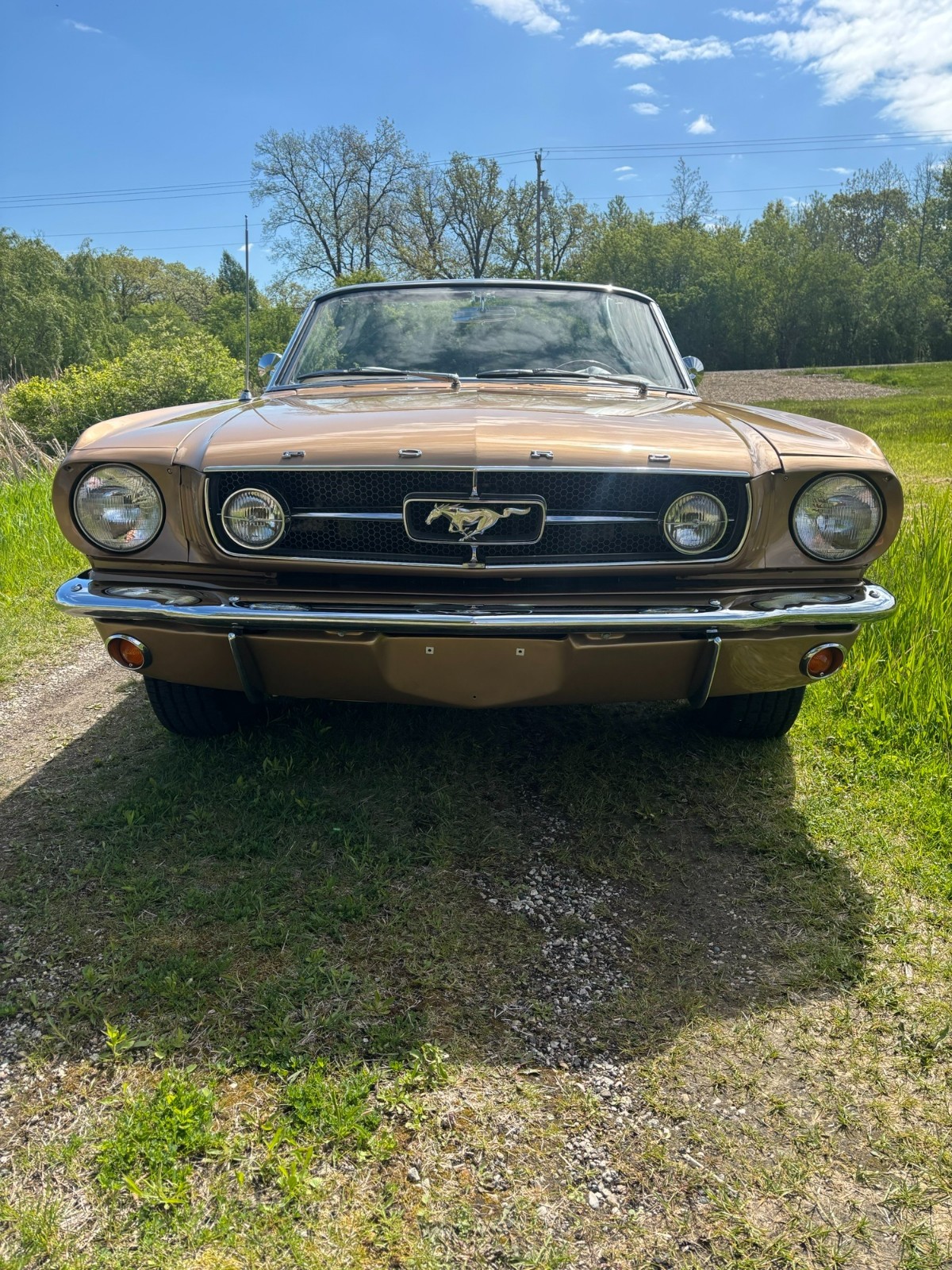 Ford-Mustang-1965-Convertible-5