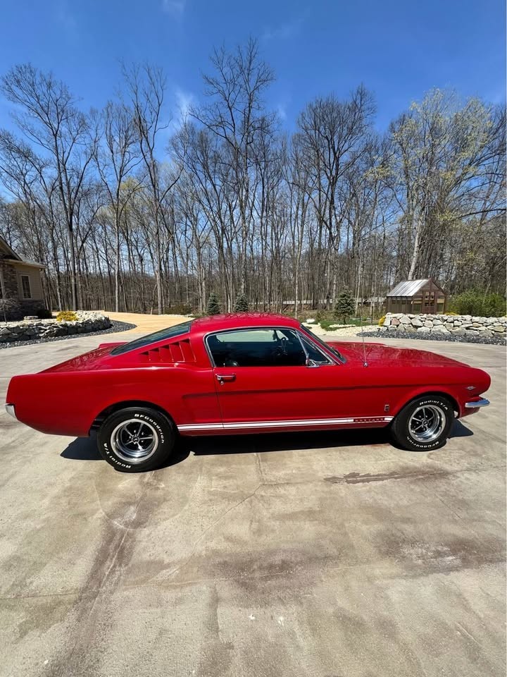 Ford-Mustang-1965-Fastback-3