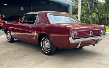 Ford-Mustang-1965-Hatchback-6