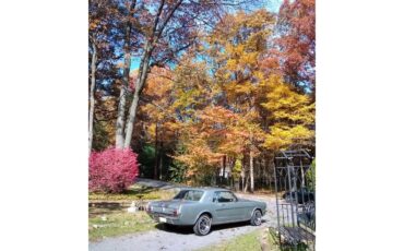 Ford-Mustang-1965-Light-Gray-Metallic-Black-11