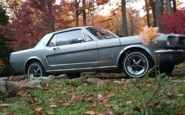 Ford-Mustang-1965-Light-Gray-Metallic-Black-2