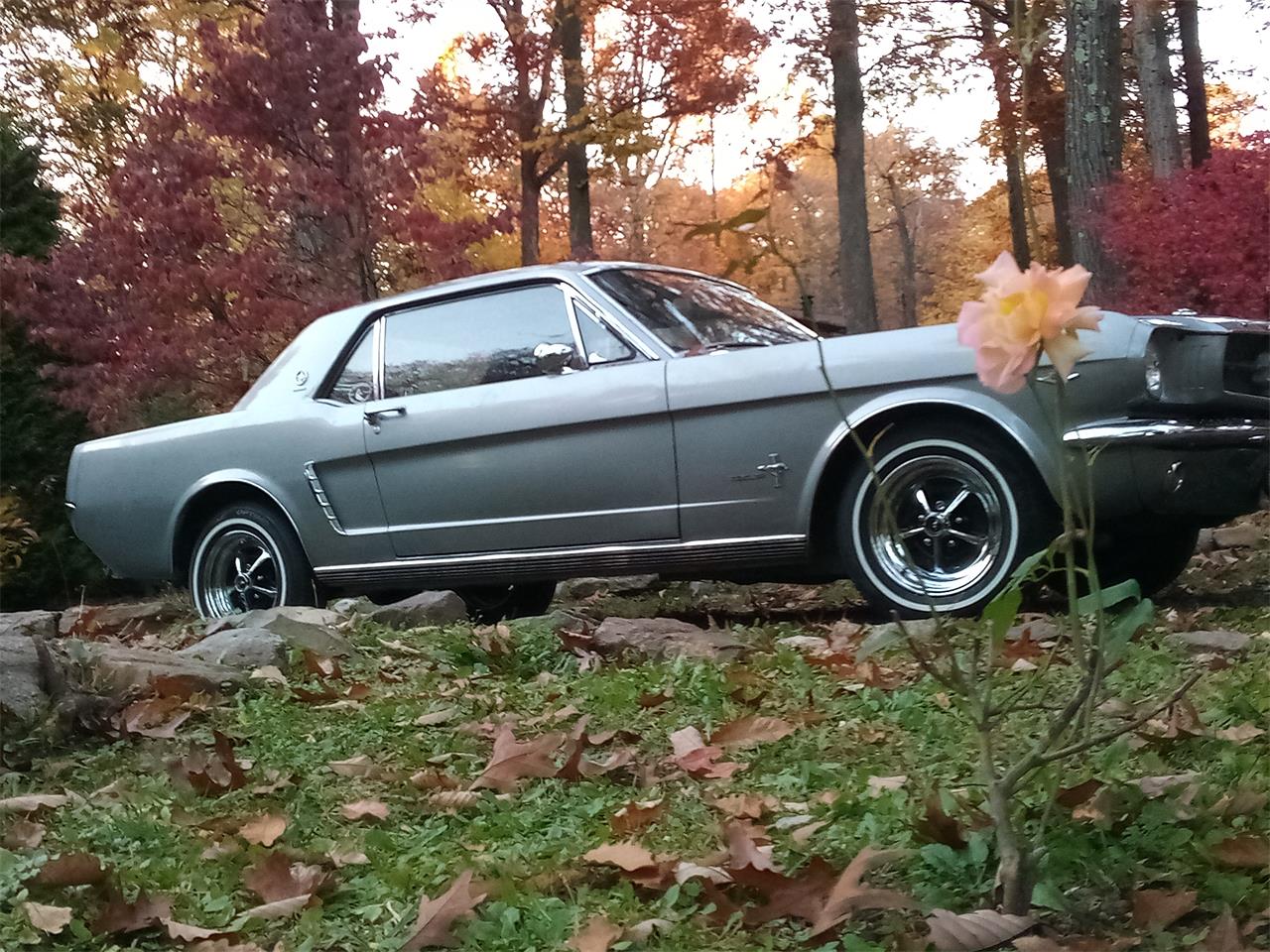 Ford-Mustang-1965-Light-Gray-Metallic-Black-2
