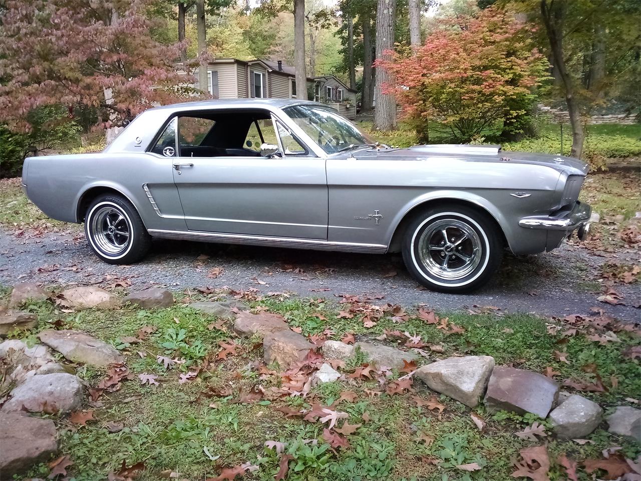 Ford-Mustang-1965-Light-Gray-Metallic-Black-4