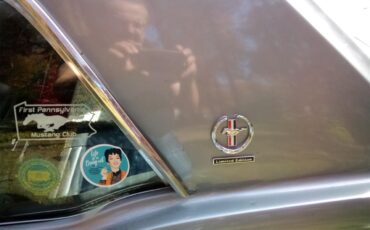 Ford-Mustang-1965-Light-Gray-Metallic-Black-8
