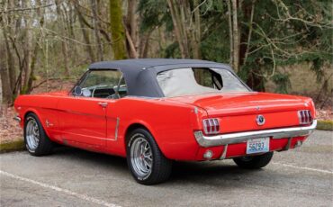 Ford-Mustang-1965-Poppy-Red-White-2