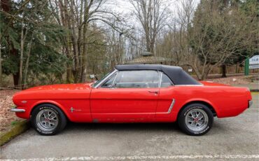 Ford-Mustang-1965-Poppy-Red-White-24