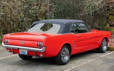 Ford-Mustang-1965-Poppy-Red-White-26
