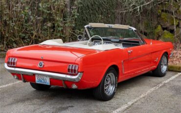 Ford-Mustang-1965-Poppy-Red-White-27