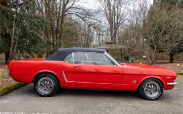 Ford-Mustang-1965-Poppy-Red-White-28