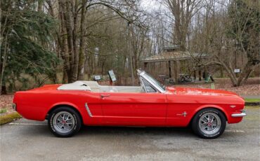 Ford-Mustang-1965-Poppy-Red-White-29