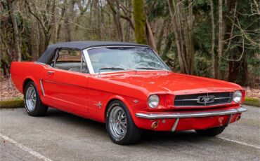 Ford-Mustang-1965-Poppy-Red-White-30