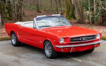 Ford-Mustang-1965-Poppy-Red-White-31