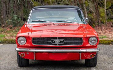 Ford-Mustang-1965-Poppy-Red-White-32
