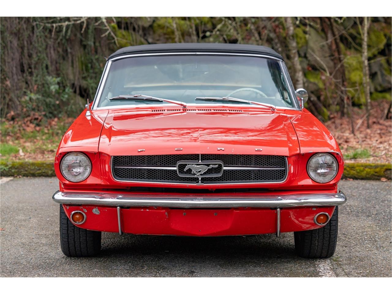 Ford-Mustang-1965-Poppy-Red-White-32