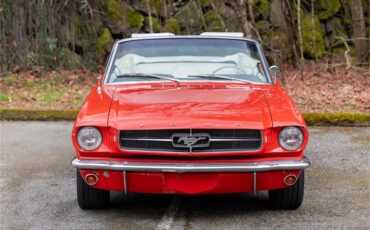 Ford-Mustang-1965-Poppy-Red-White-33
