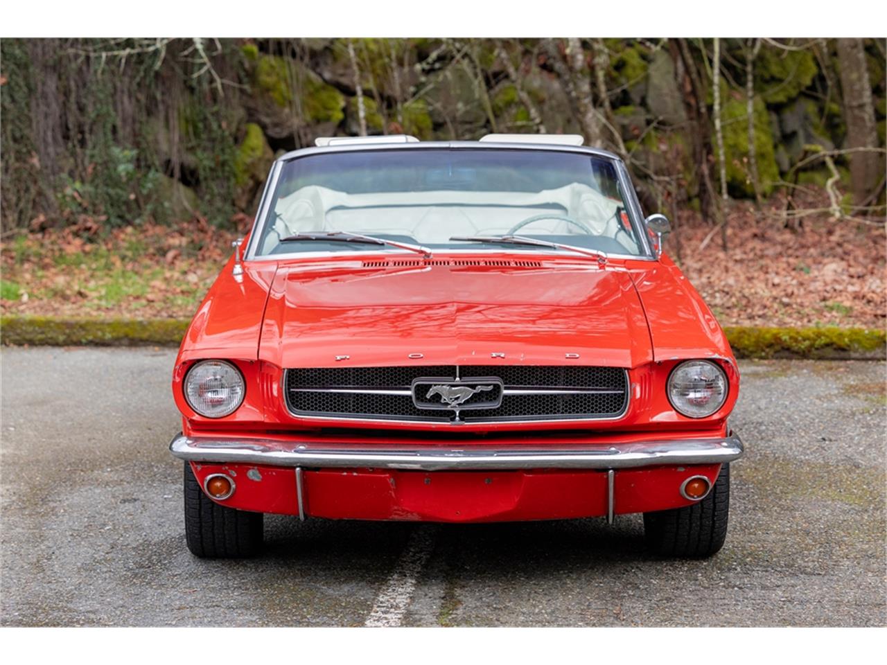 Ford-Mustang-1965-Poppy-Red-White-33