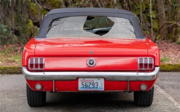 Ford-Mustang-1965-Poppy-Red-White-34