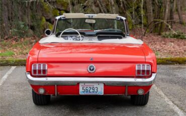 Ford-Mustang-1965-Poppy-Red-White-35