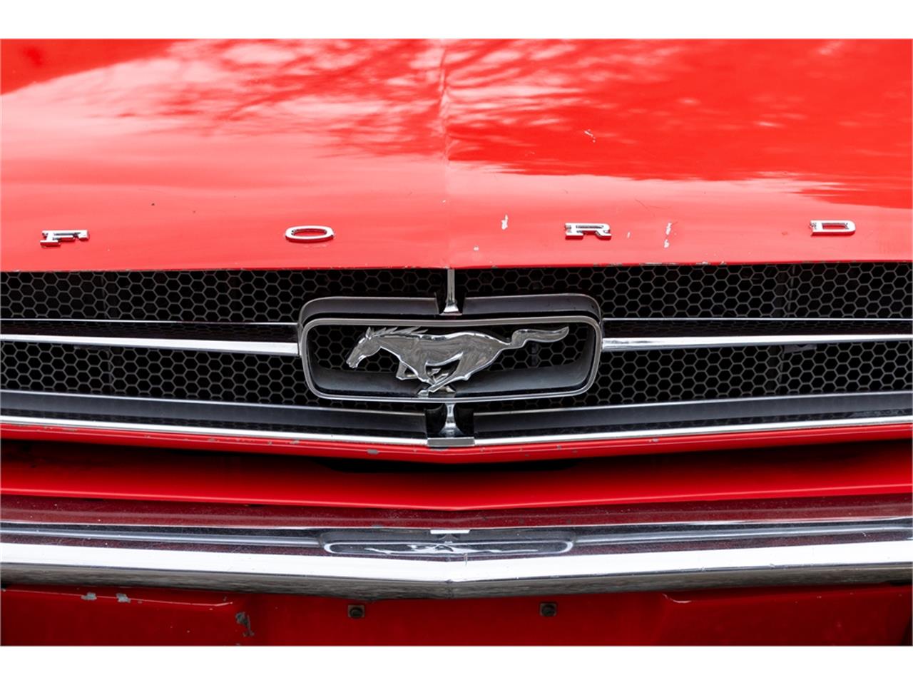 Ford-Mustang-1965-Poppy-Red-White-37