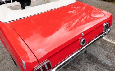 Ford-Mustang-1965-Poppy-Red-White-49