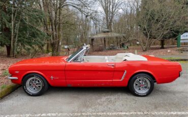 Ford-Mustang-1965-Poppy-Red-White-92