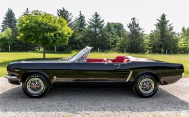 Ford-Mustang-1965-Raven-Black-Red-5