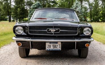 Ford-Mustang-1965-Raven-Black-Red-52