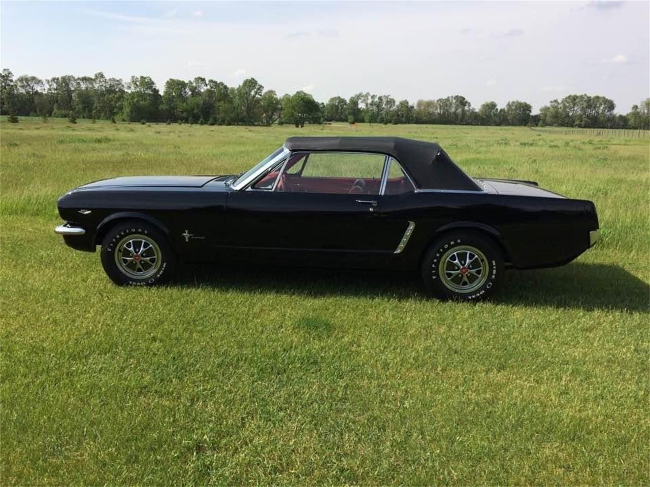 Ford-Mustang-1965-Raven-Black-Red-6