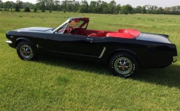 Ford-Mustang-1965-Raven-Black-Red-71