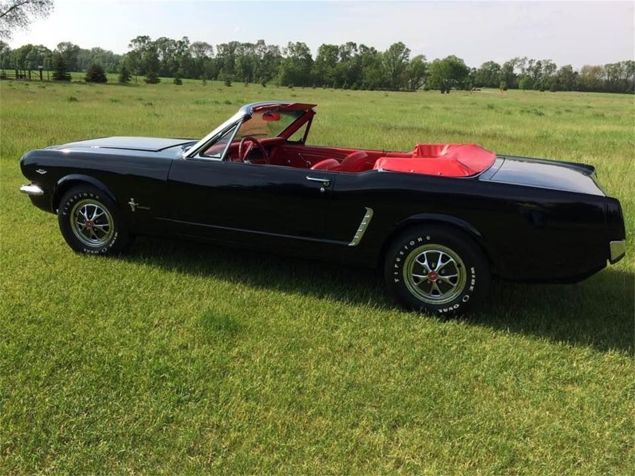Ford-Mustang-1965-Raven-Black-Red-71