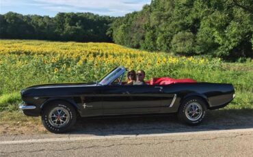 Ford-Mustang-1965-Raven-Black-Red-75