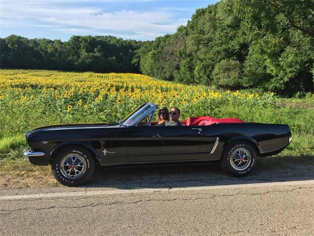 Ford-Mustang-1965-Raven-Black-Red-75