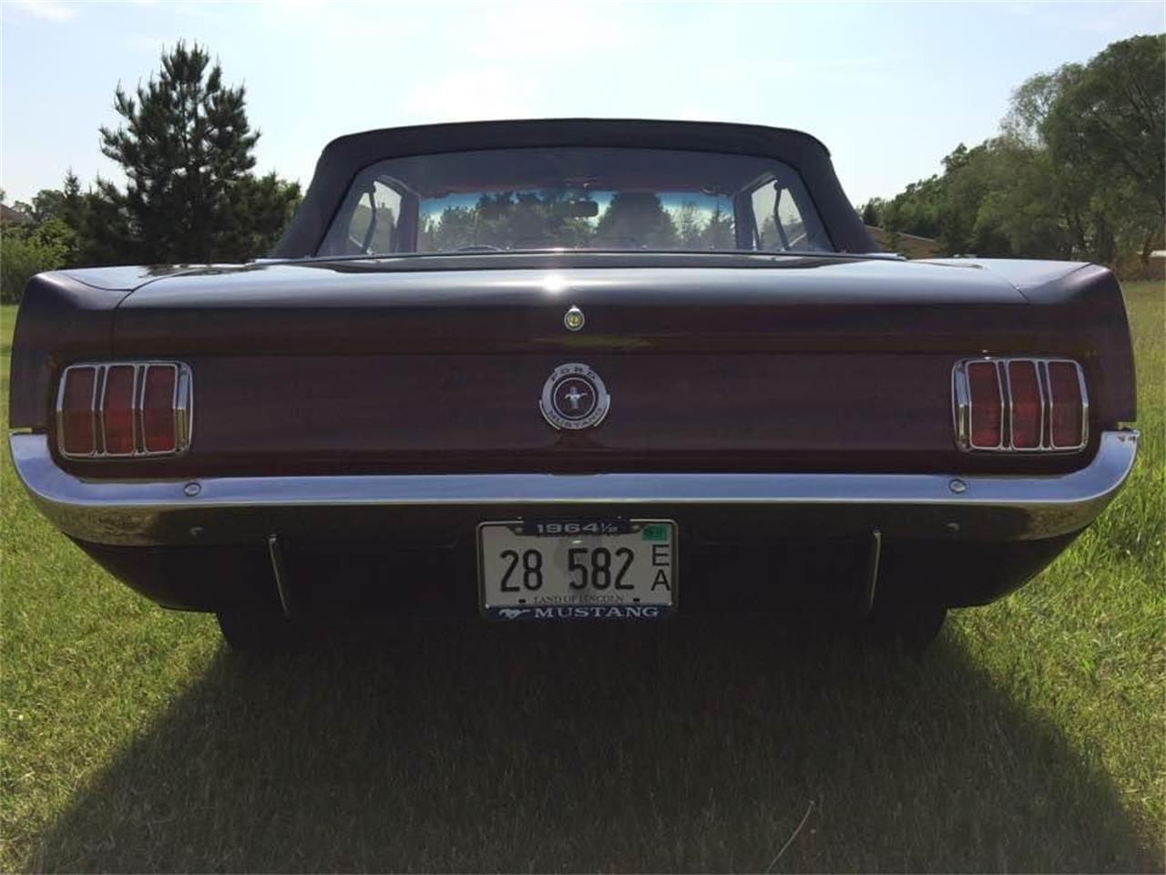 Ford-Mustang-1965-Raven-Black-Red-76